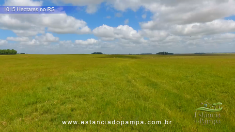 1015 HA no RS MARINETI.00_02_04_15.Quadro021_e6888259f1b7eb50cf59ae86a634f1299982fc28.png